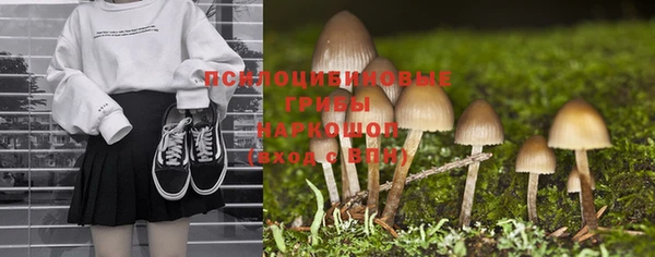 меф Приозерск