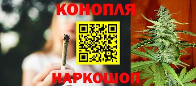 гидропоника Новодвинск
