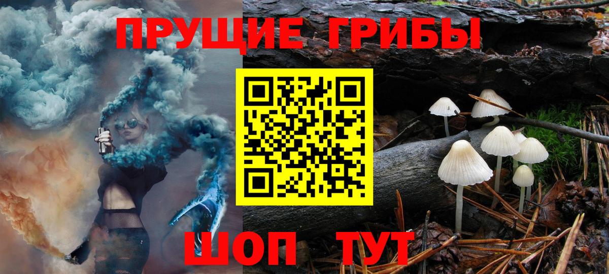 Галлюциногенные грибы Magic Shrooms  Вход с VPN  Торжок  Галлюциногенные грибы мицелий 
